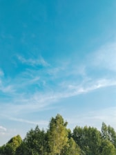 A serene landscape featuring lush greenery and a clear blue sky.