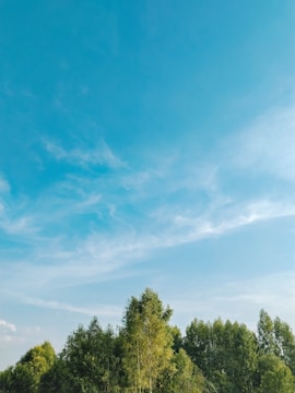 A serene landscape featuring lush greenery and a clear blue sky.