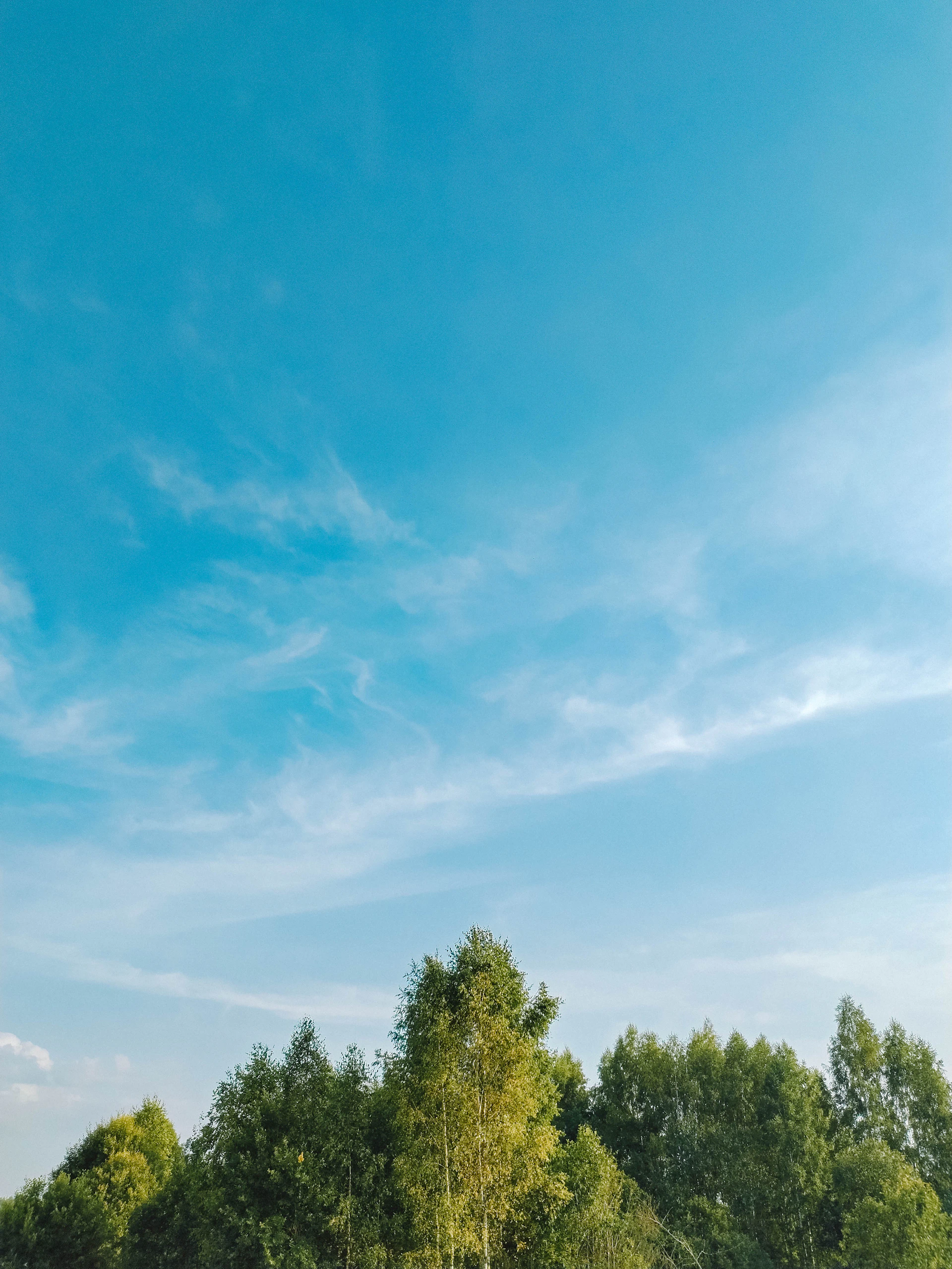 gray computer monitor