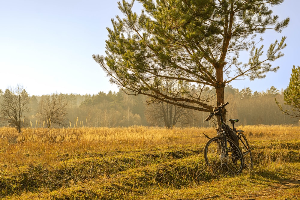 a bike parked next to a tree in a field