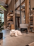 Happy family playing with their dog in a spacious apartment.