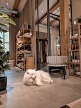 Happy family playing with their dog in a spacious apartment.