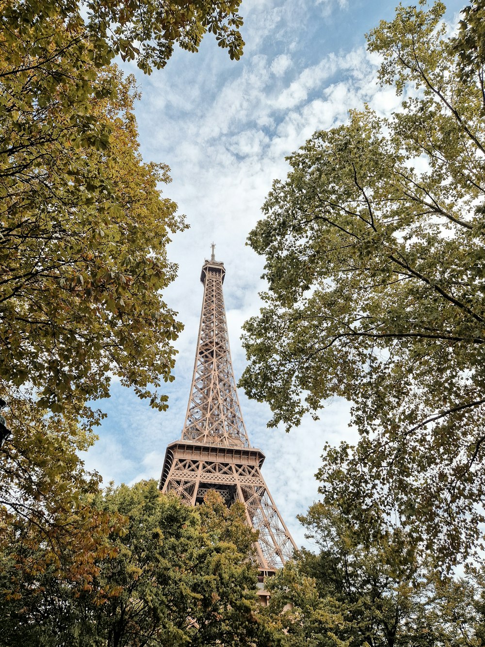 Une vue sur la Tour Eiffel à travers les arbres