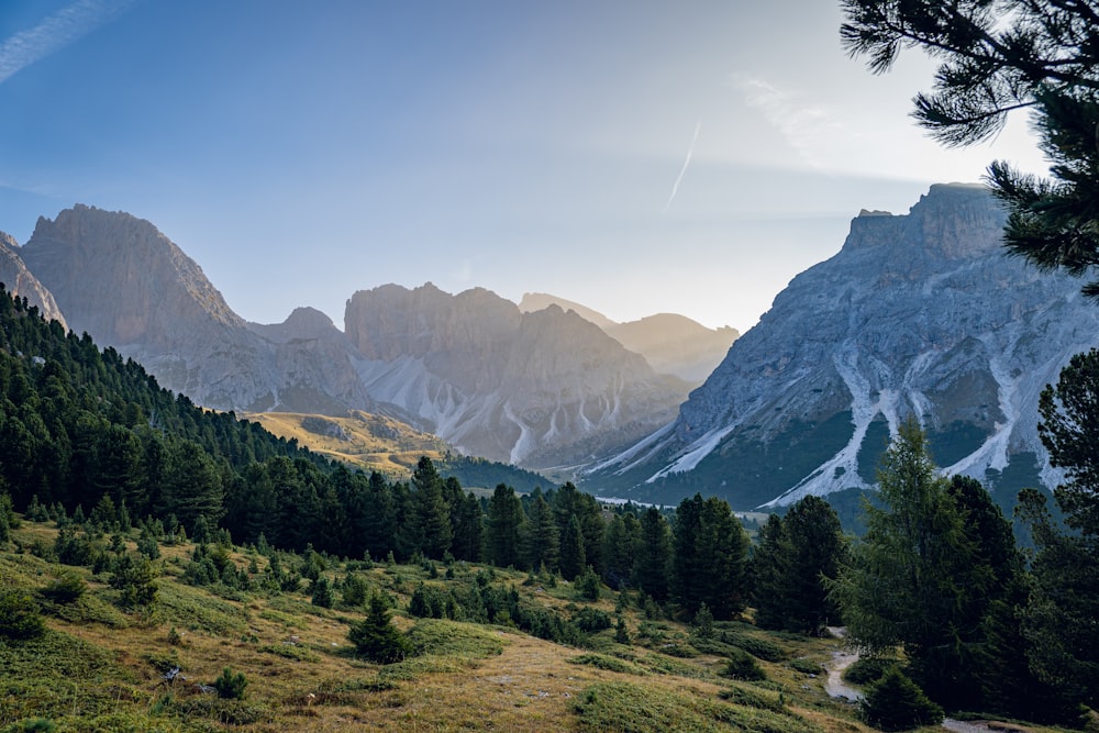 a view of a mountain range with trees in the foreground