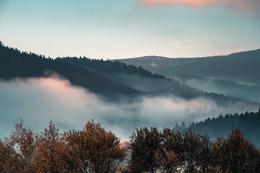 a view of a foggy mountain with trees in the foreground