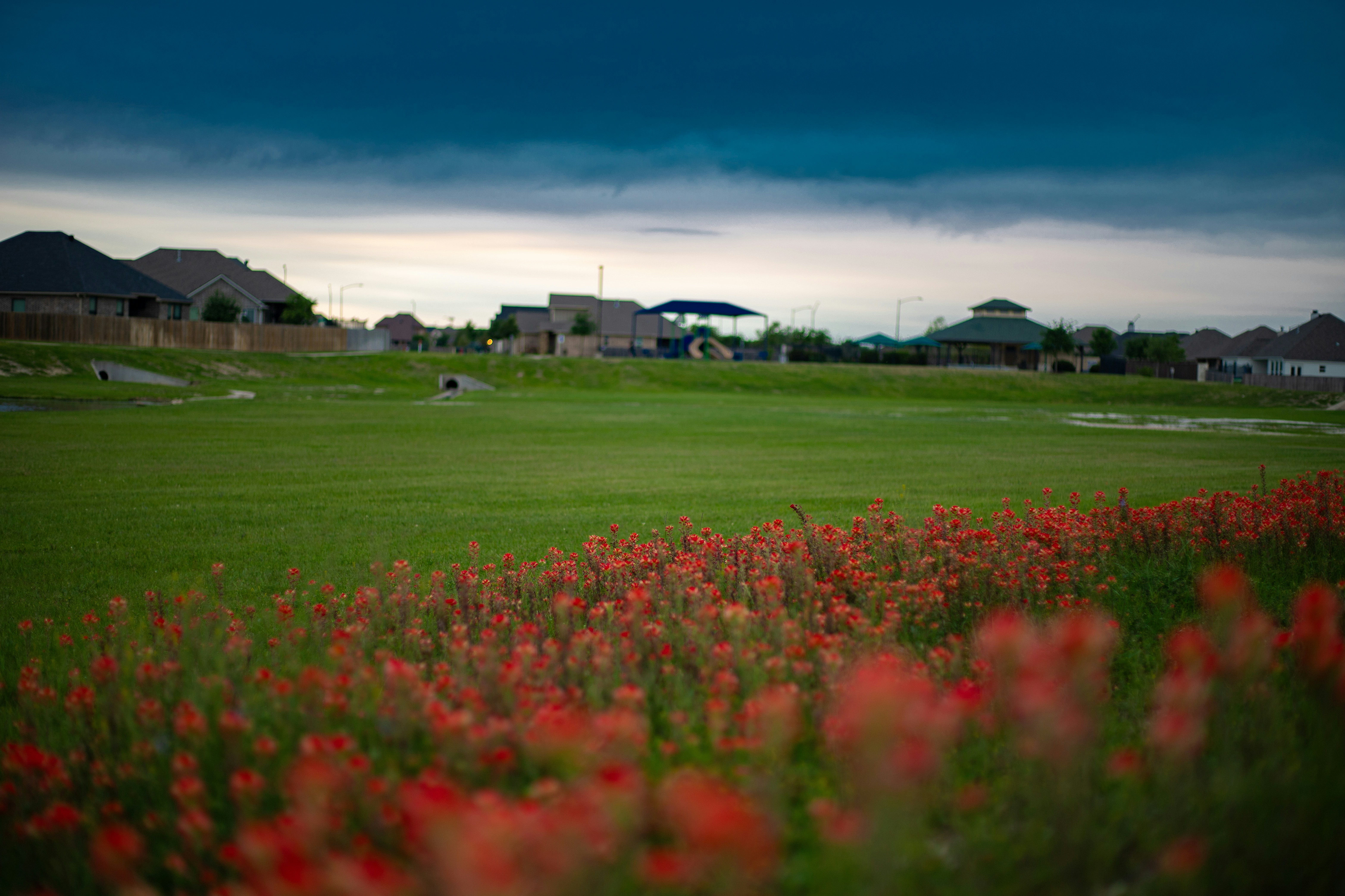 Red Hawk Ridge Golf Course photo 2