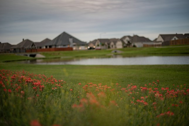 A serene neighborhood setting with a focus on a grassy area dotted with small, vibrant red flowers in the foreground. In the background, several houses are situated around a small pond, reflecting the overcast sky. The landscape is calm and well-maintained, suggesting a peaceful residential area.