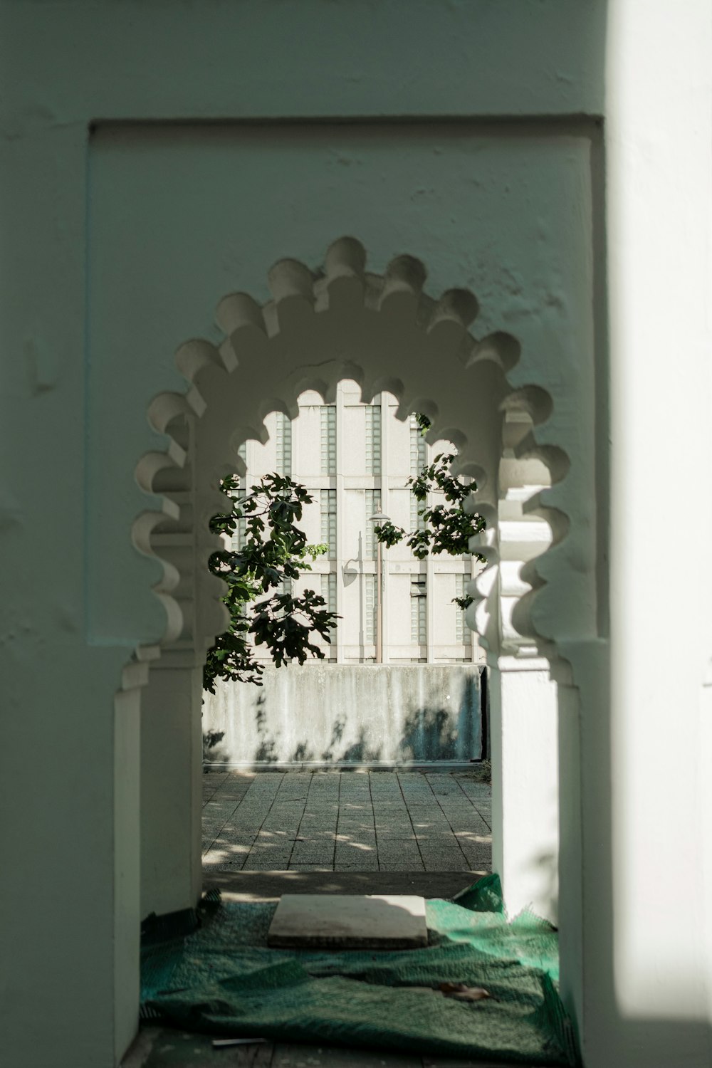 a white archway with a tree growing through it