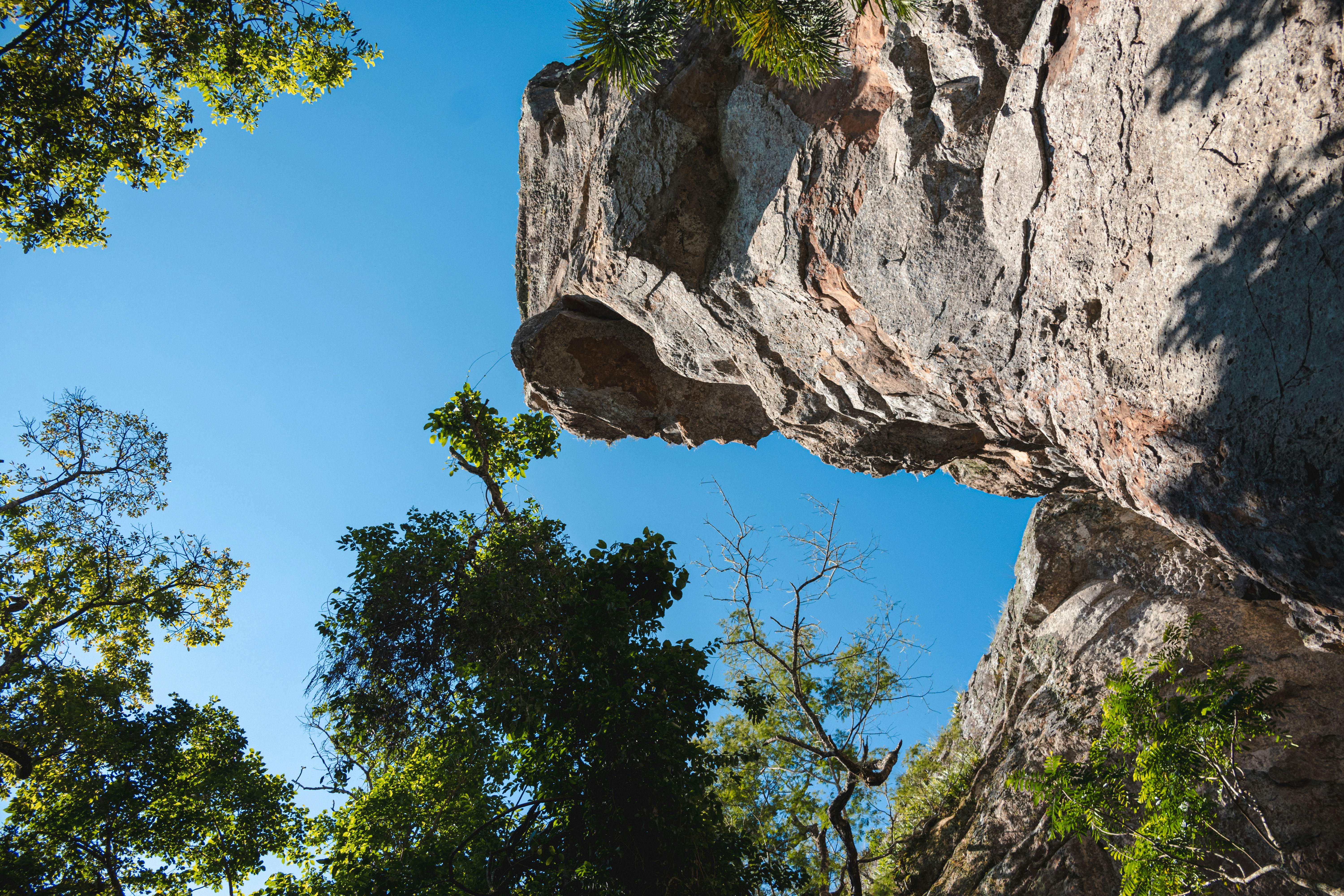 uma vista de um afloramento rochoso na floresta