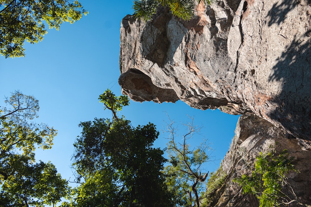 a view of a rock outcropping in the woods