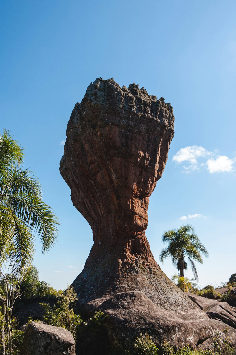 a large rock formation in the middle of a forest