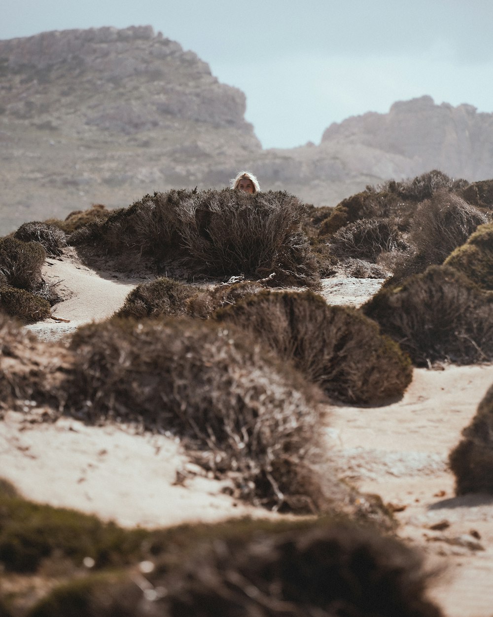 a person standing on a rocky area with a mountain in the background