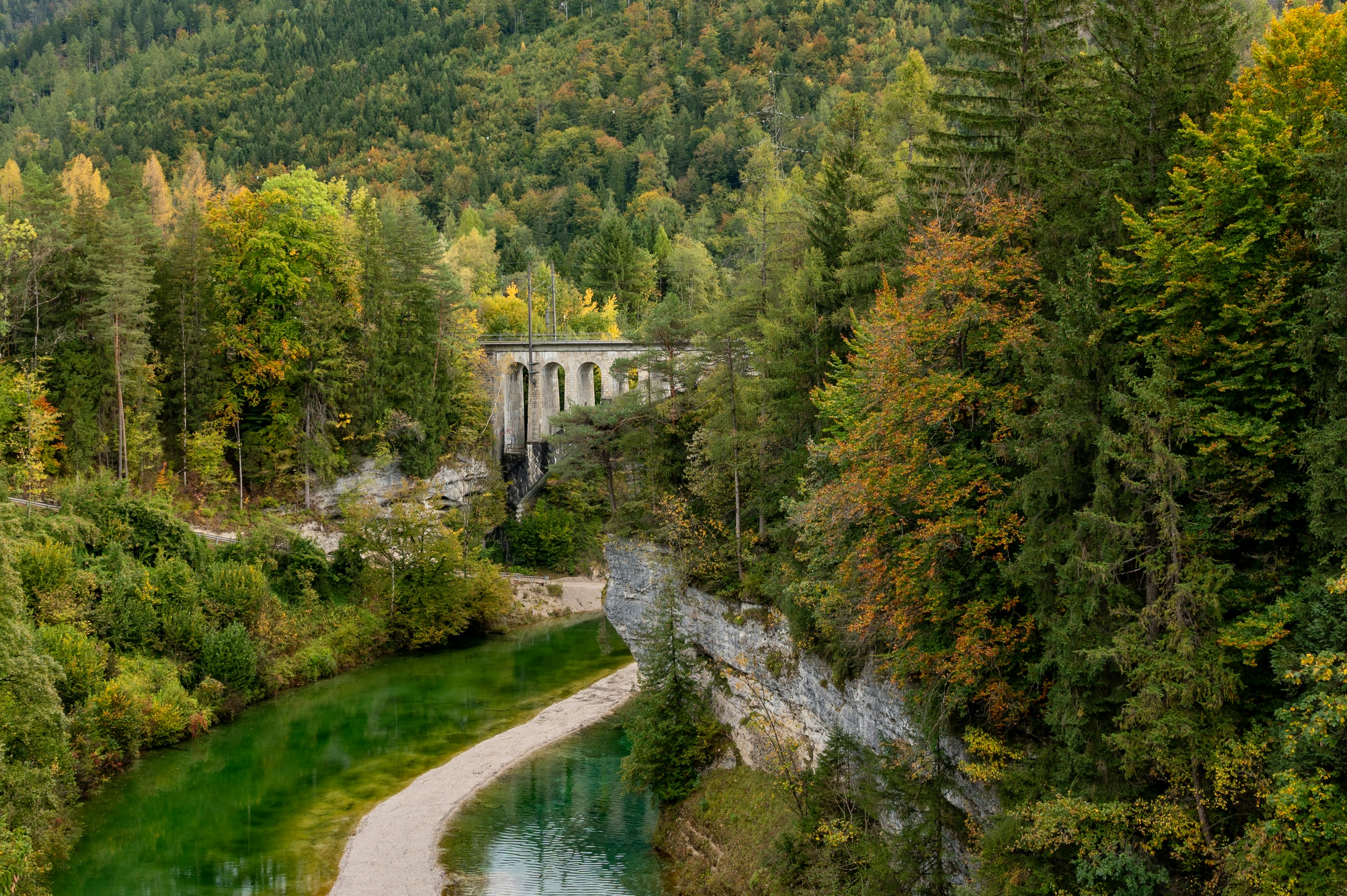 a river running through a lush green forest