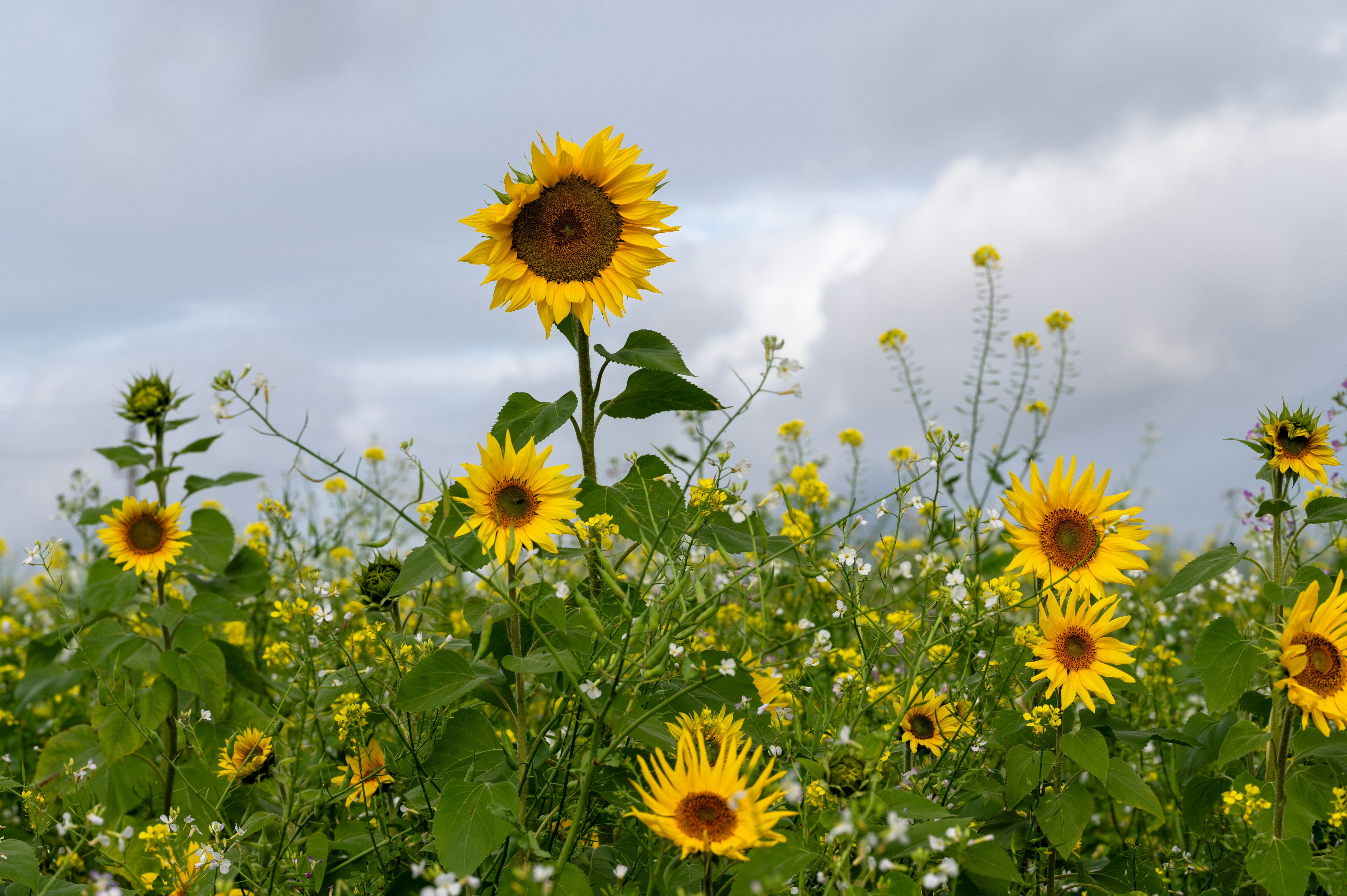 Photo by carrie_borden