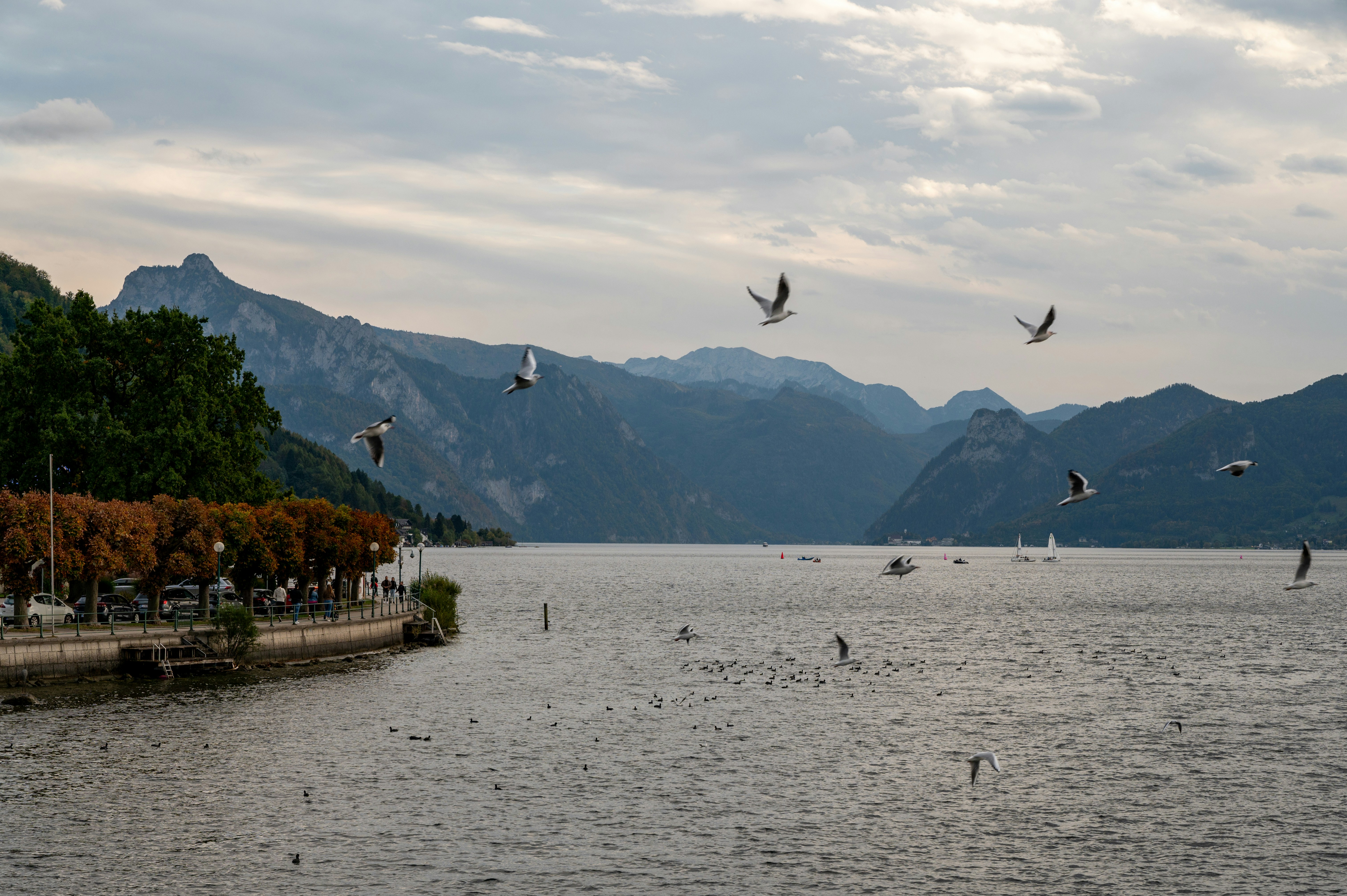 Gmunden – Neighborhoods & Urban Structure