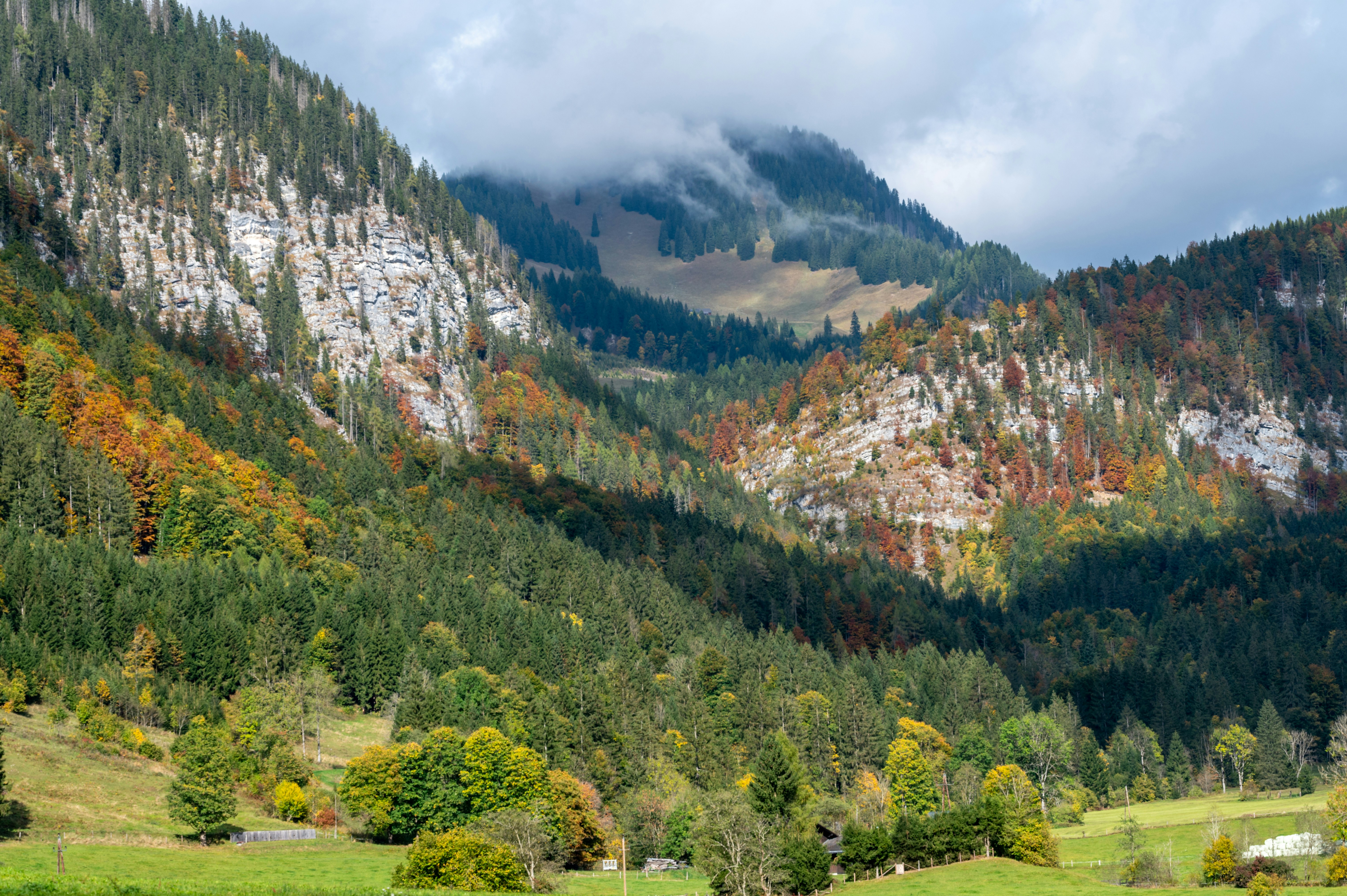 Photo by carrie_borden