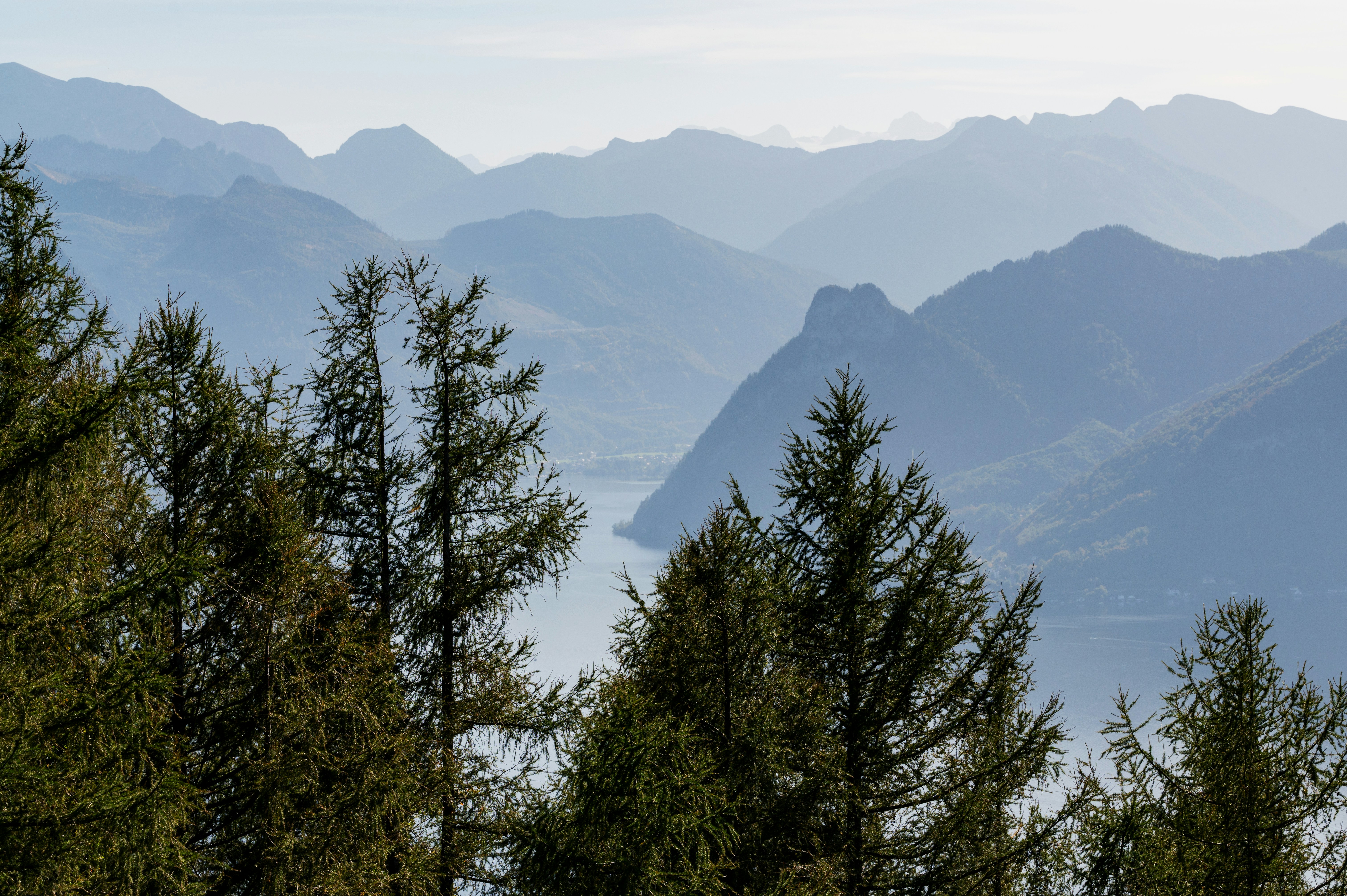 Photo by carrie_borden