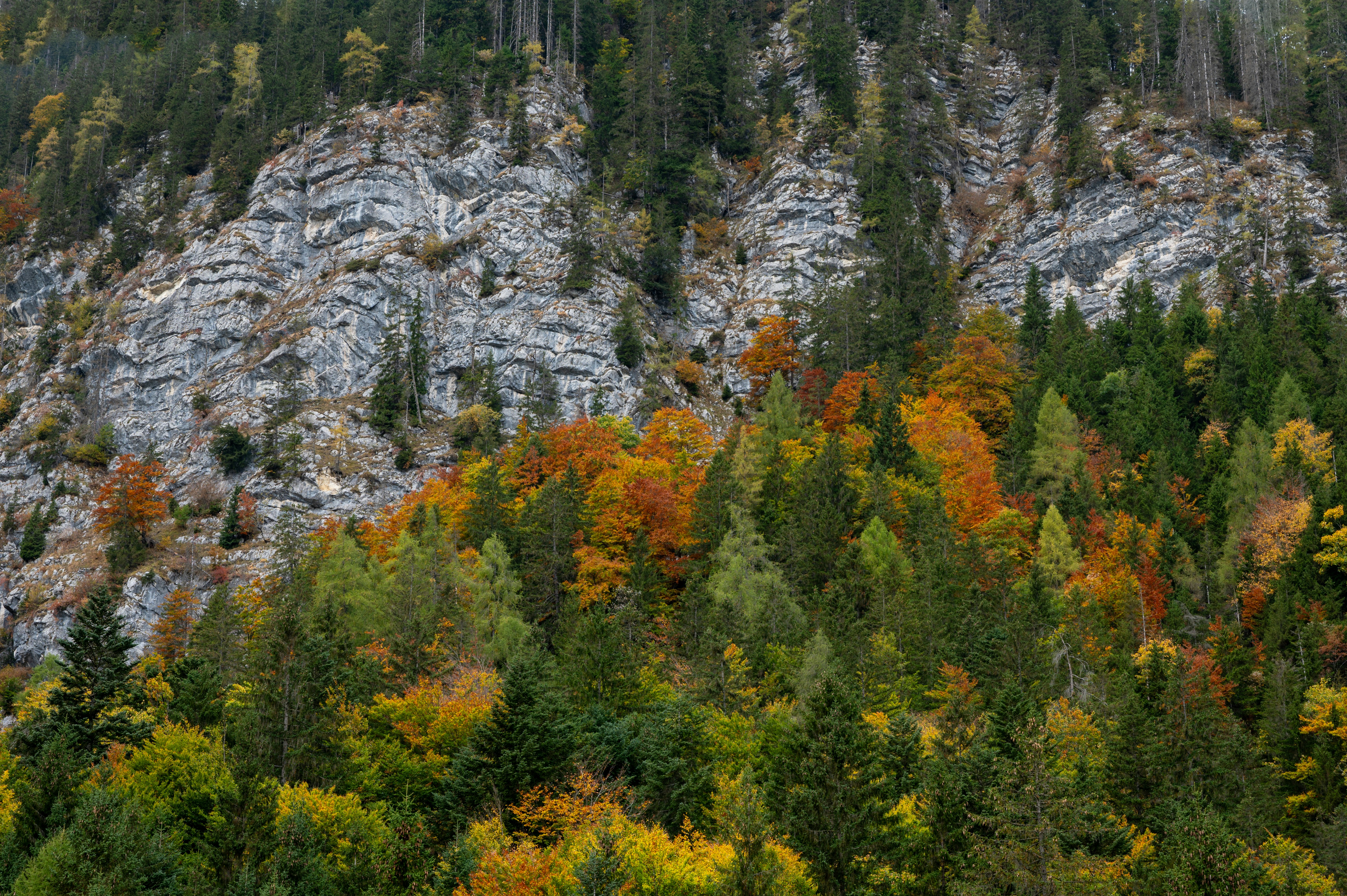 Photo by carrie_borden