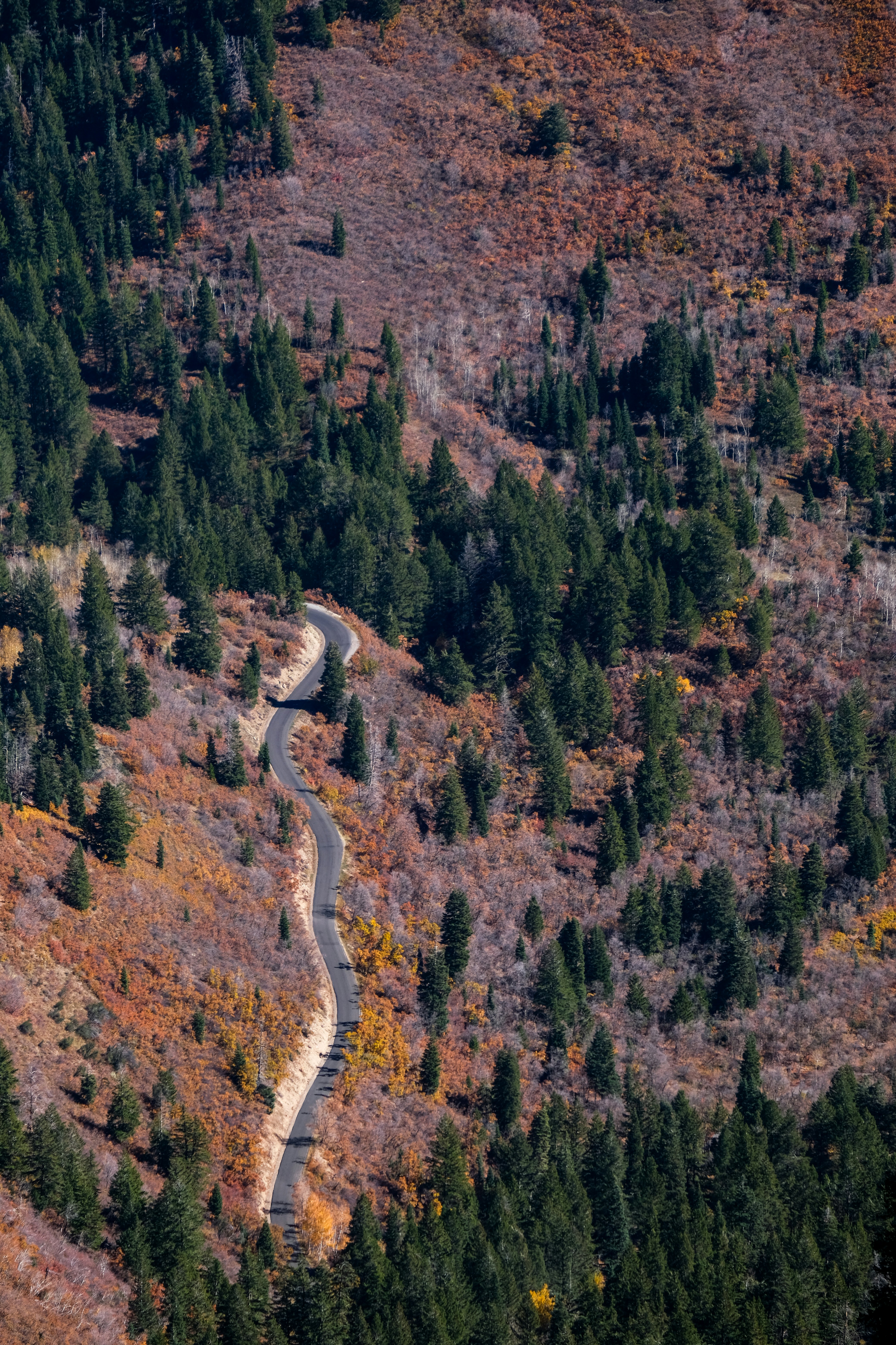 Photo by cestmoisheedy