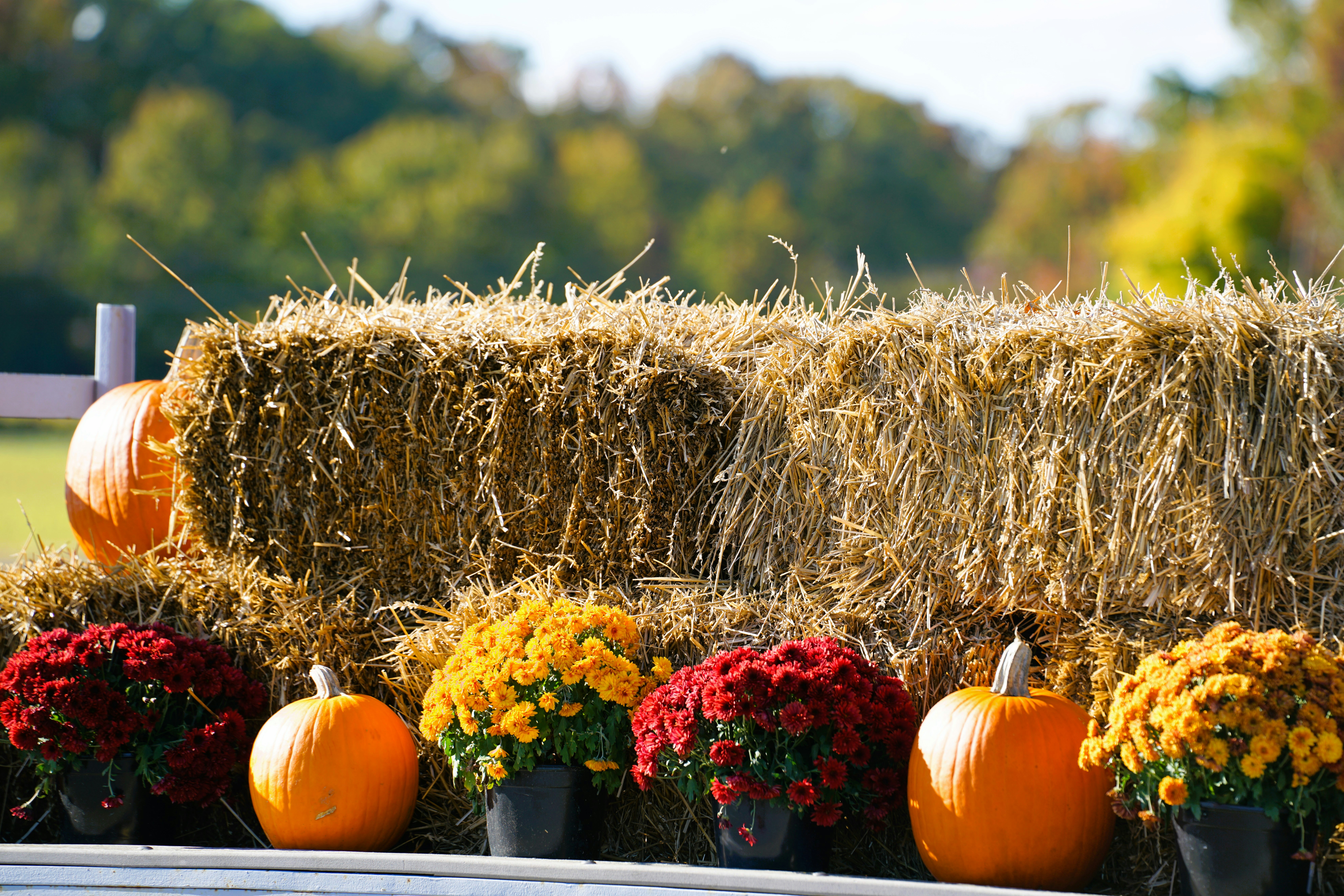 Fall calendar