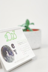 Wall calendars and desk calendars with custom branding and vibrant images.