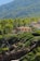 Houses are nestled among lush greenery on a hillside, with dense pine trees covering the surrounding landscape. The homes are built with architectural styles that complement the natural environment, featuring multiple levels and terracotta roofs. The mountain backdrop adds a sense of elevation and tranquility to the scene.