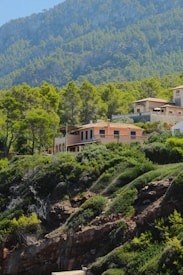 Photo 1698244356816 Ae88b9b1c335?q=85&w=275&h=275&fit=crop