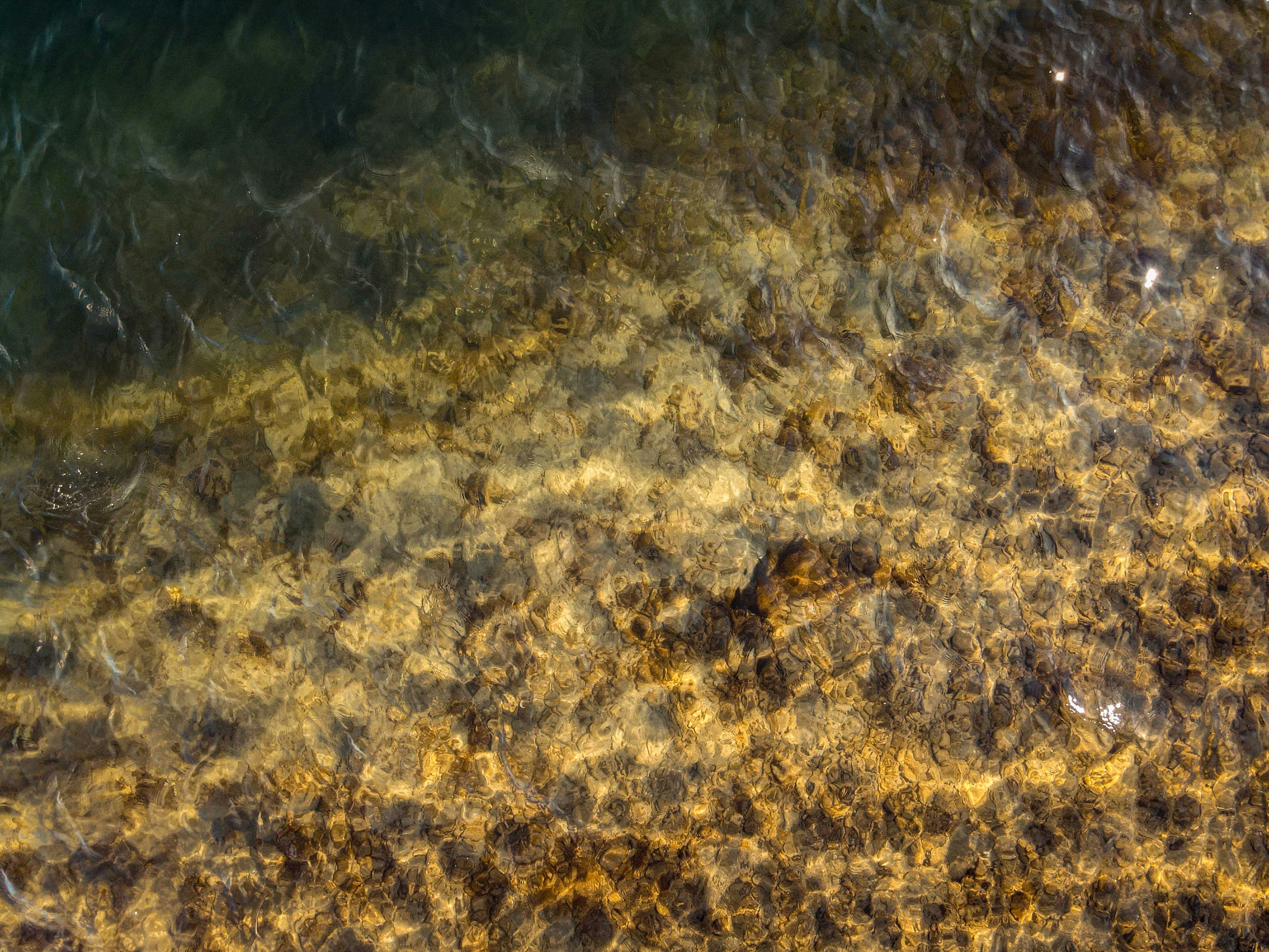 Photo by francesco_ungaro