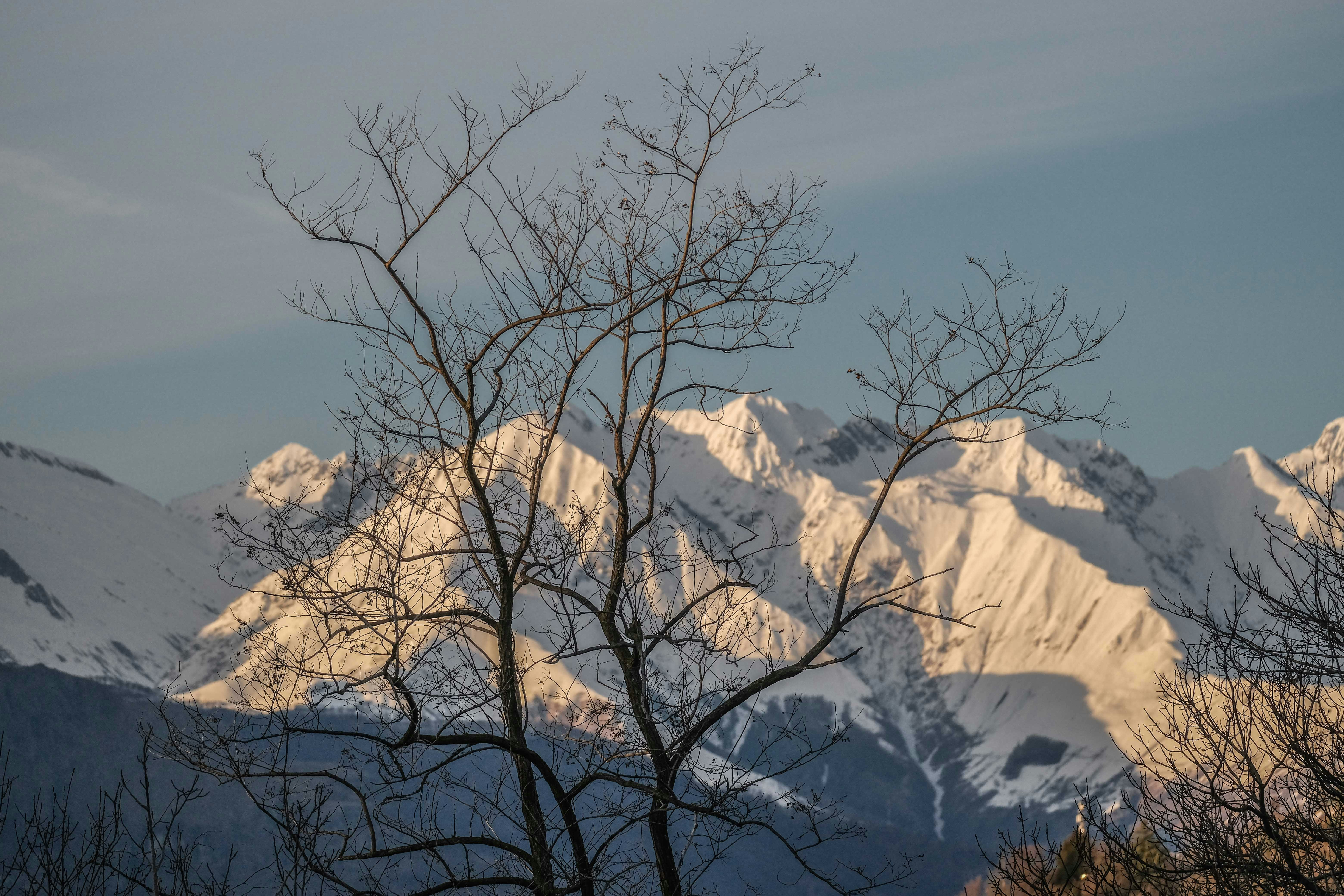 Photo by francesco_ungaro