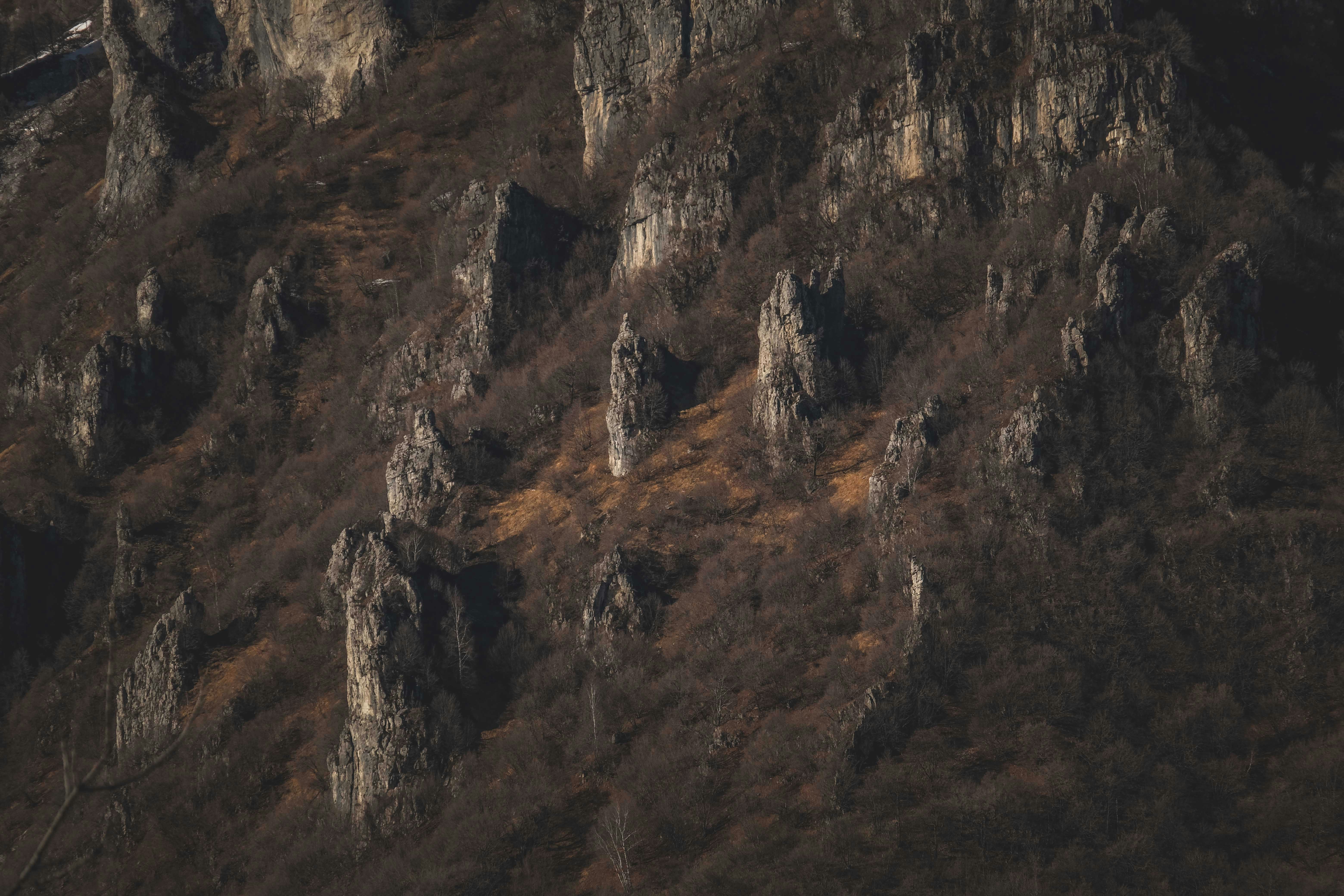 Photo by francesco_ungaro