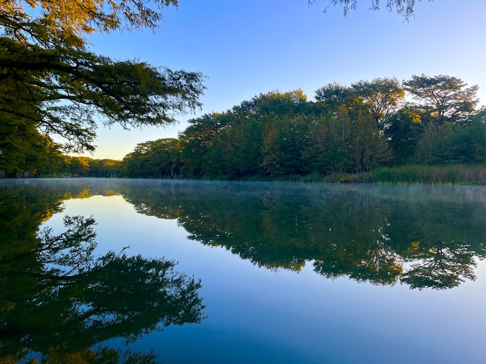 a body of water surrounded by lots of trees