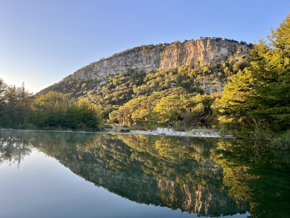 a large body of water surrounded by trees