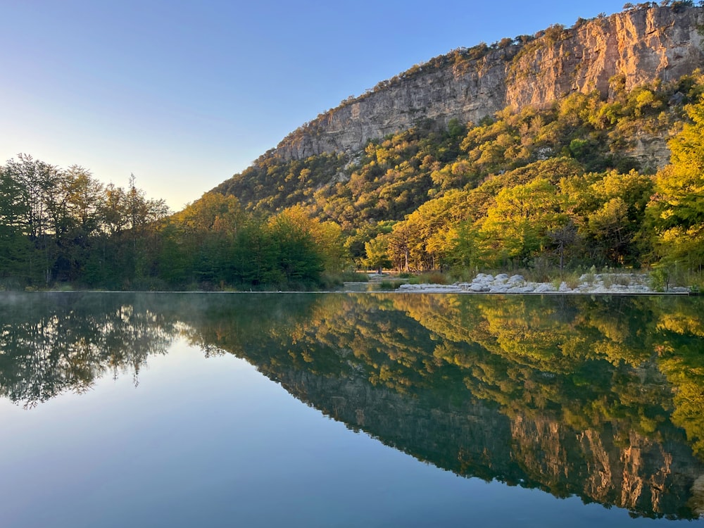 una gran masa de agua rodeada por un bosque