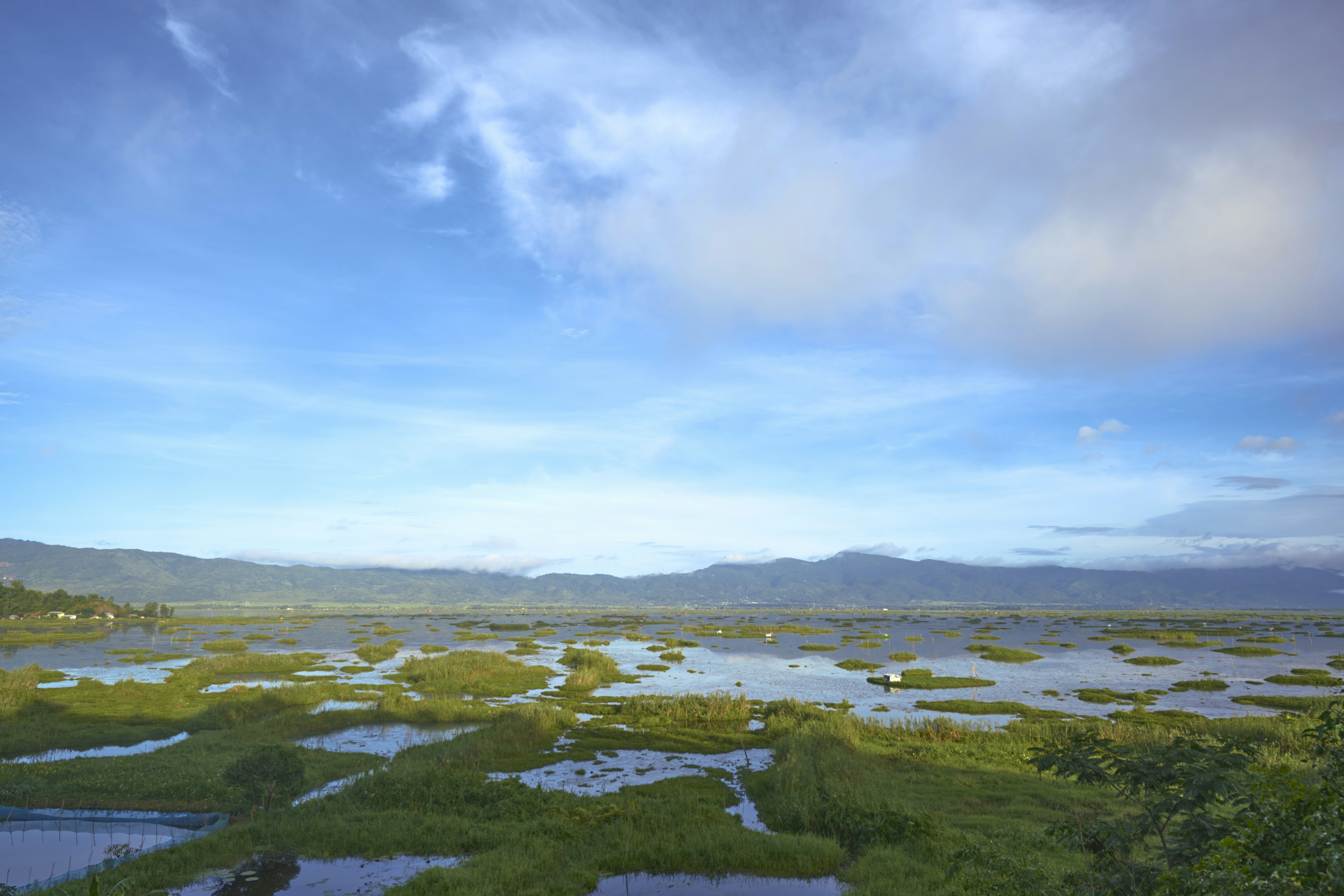 Photo by ronaldofocus