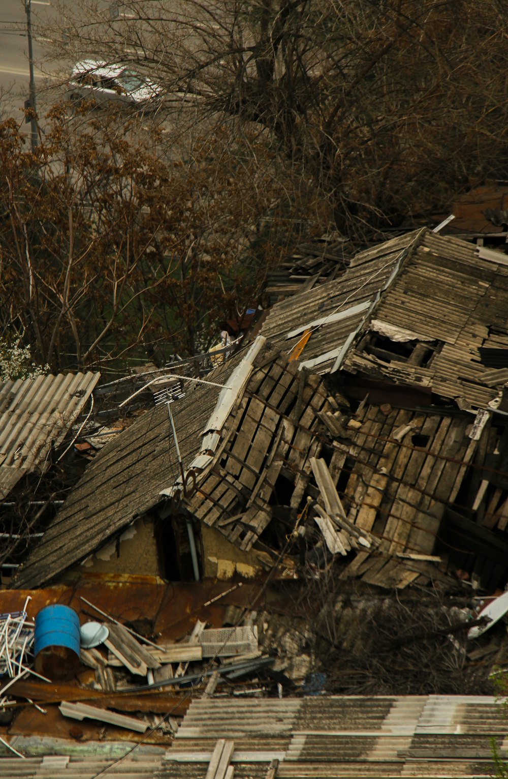 a bird standing on top of a pile of debris