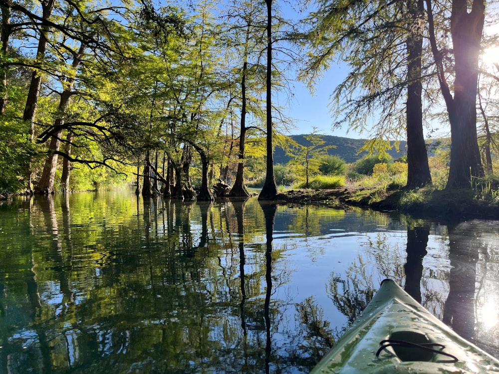 a view of a body of water from a canoe