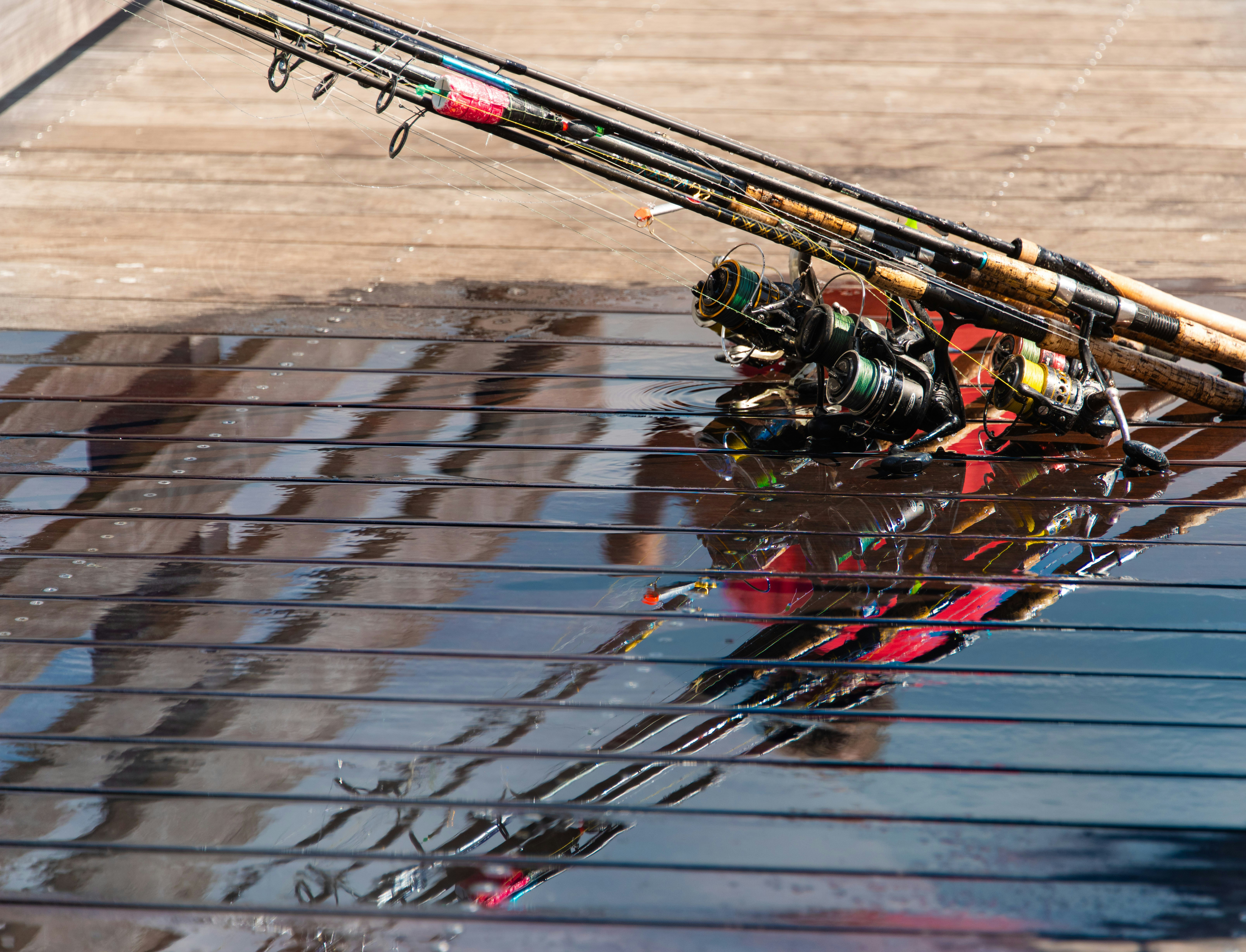 The 5 Best Fishing Rods for Catfish: Expert Recommendations