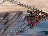 Several fishing rods are resting on a wet wooden surface, with reflections from the water creating interesting patterns. The rods are equipped with different colored reels.