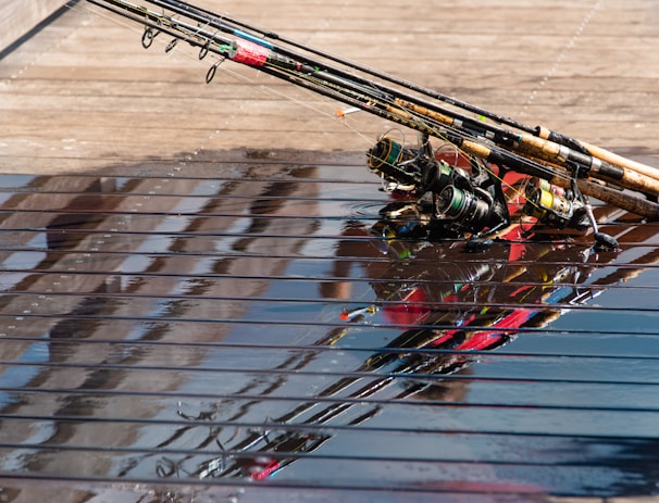 Several fishing rods are resting on a wet wooden surface, with reflections from the water creating interesting patterns. The rods are equipped with different colored reels.