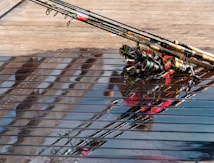 Several fishing rods are resting on a wet wooden surface, with reflections from the water creating interesting patterns. The rods are equipped with different colored reels.