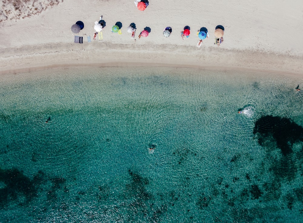 a group of people sitting on top of a beach next to the ocean