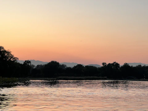 A tranquil lake bordered by dense forest under a pastel sunset sky.