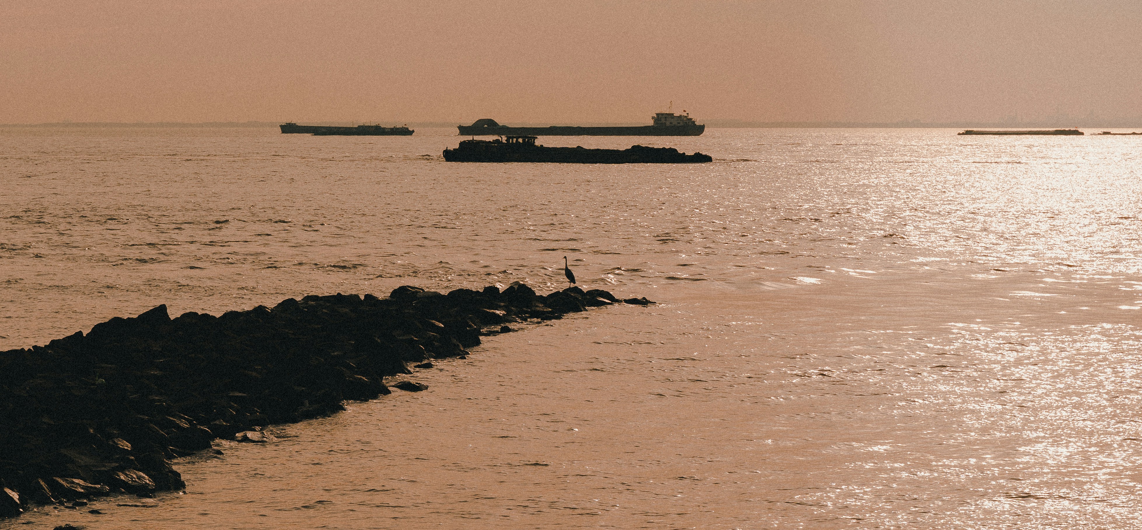 Photo by wangsheeran