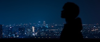 Elegant silhouette of a woman against a city nightscape, hinting at discreet companionship.