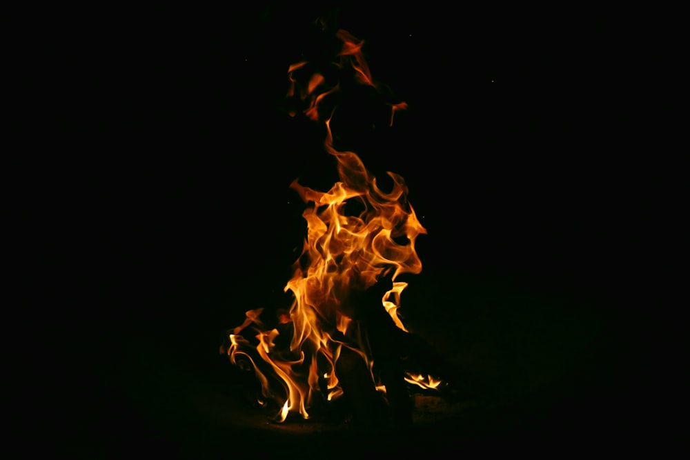 a fire burning in the dark on a black background