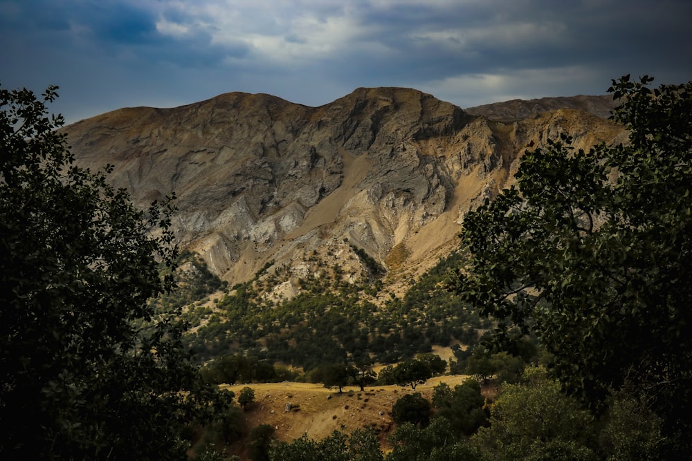 a view of a mountain range with trees in the foreground