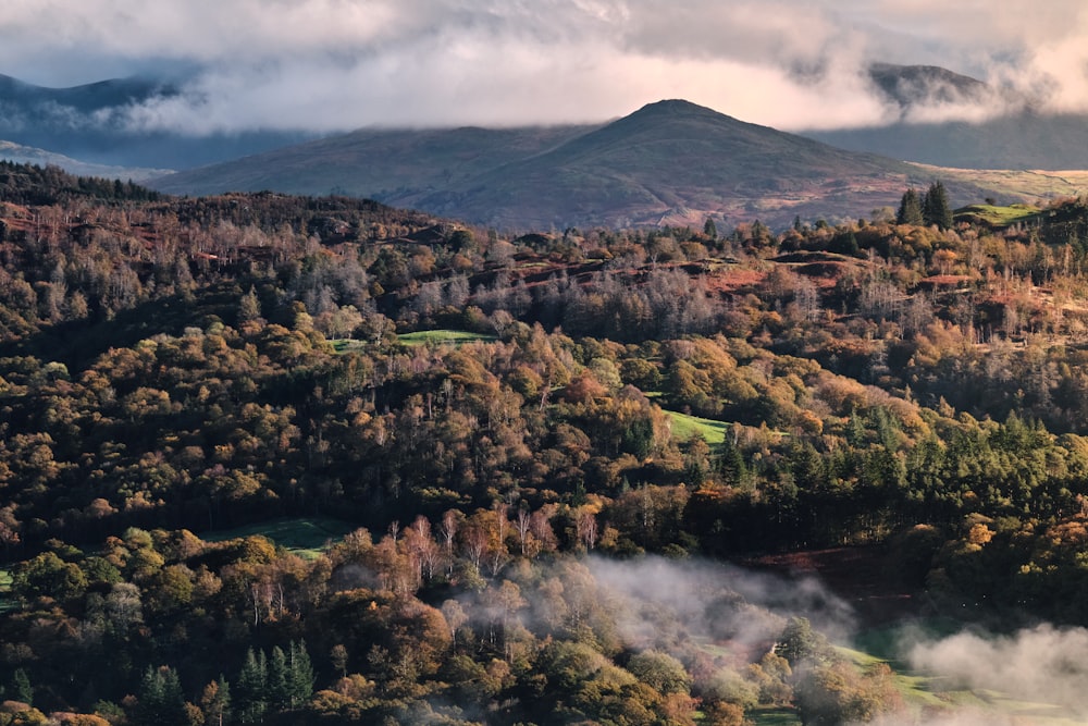 a scenic view of a mountain range with trees in the foreground