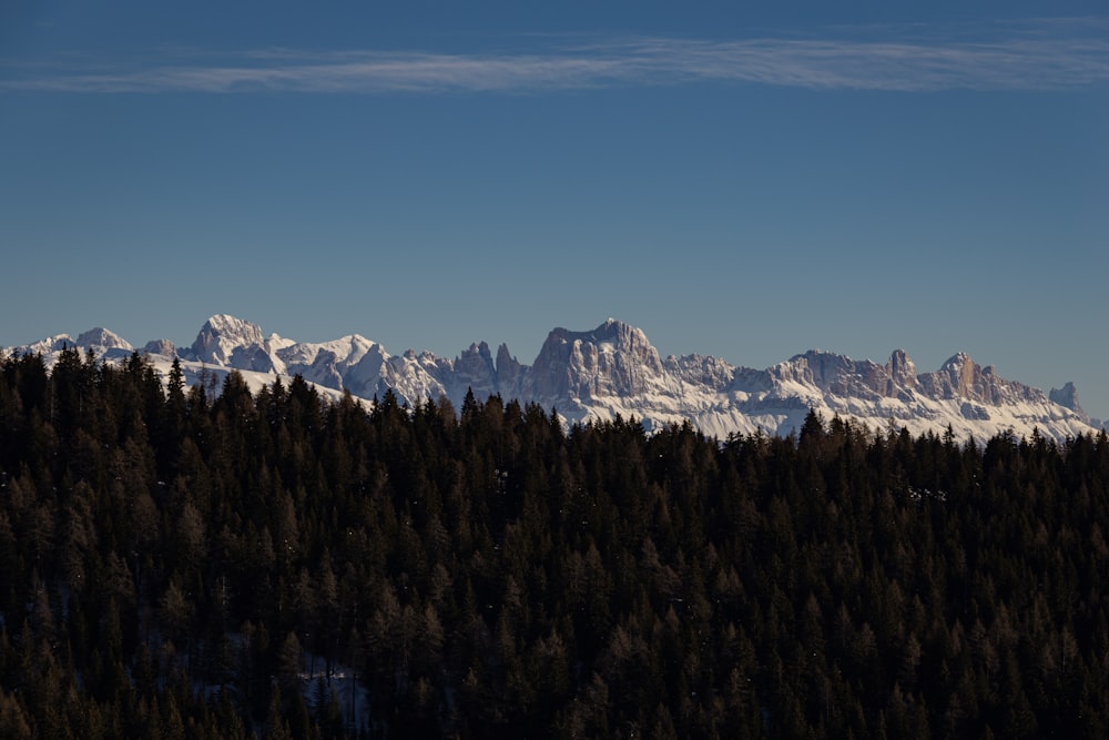 a view of a mountain range with trees in the foreground