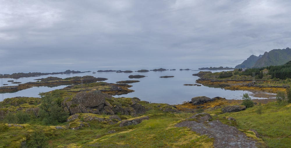 a large body of water surrounded by lush green grass