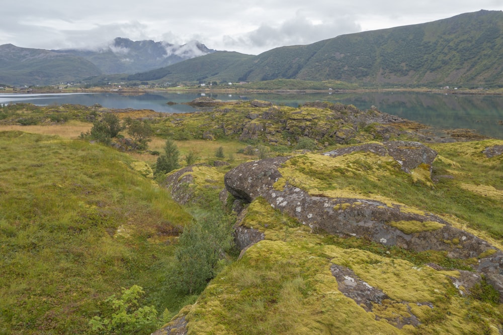 a grassy field next to a body of water